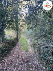 Annonce Vente Terrain Grand-champ 56