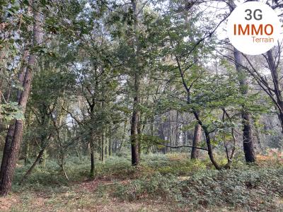 Acheter Terrain Grand-champ