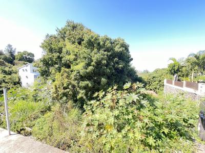 Annonce Vente Terrain Riviere-saint-louis 974