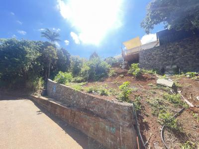 Annonce Vente Terrain Entre-deux 974