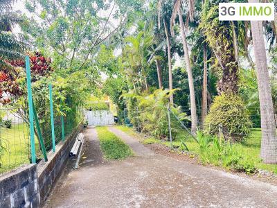 Annonce Vente 7 pi�ces Maison Tampon 974