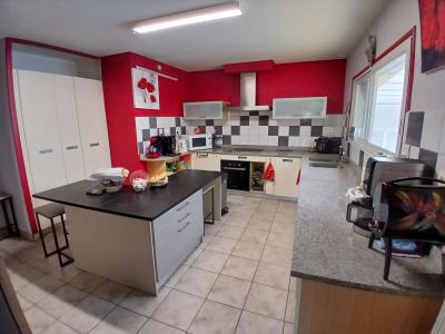 Acheter Maison 446 m2 Lugan