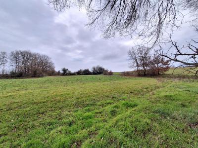 For sale Bellegarde-sainte-marie LA�VIGNAC Haute garonne (31530) photo 0