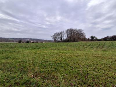 Annonce Vente Terrain Bellegarde-sainte-marie 31