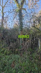 Acheter Maison Doyet 12000 euros