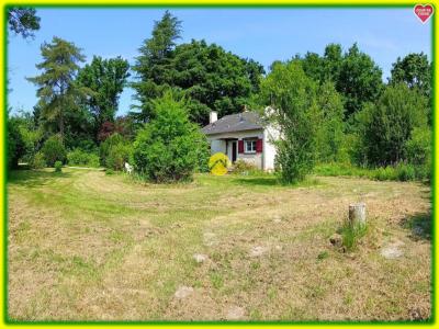 Annonce Vente 7 pi�ces Maison Nancay 18