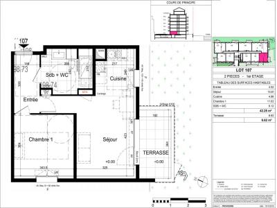 Louer Appartement 42 m2 Nancy