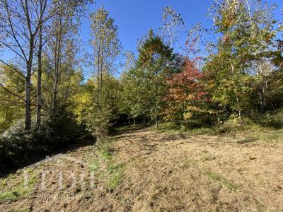 Acheter Domaine forestier Cazaubon Gers