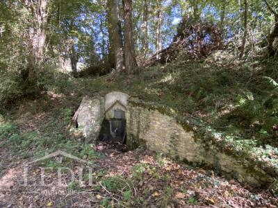 Acheter Domaine forestier Cazaubon 45500 euros