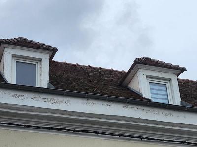 Annonce Vente Immeuble Meaux 77