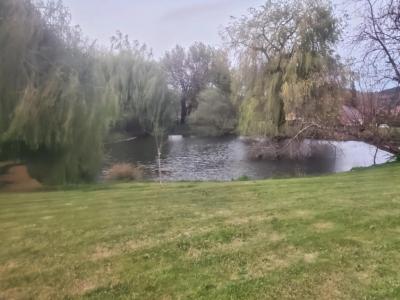 For sale Isle-en-dodon 4 rooms 83 m2 Haute garonne (31230) photo 2