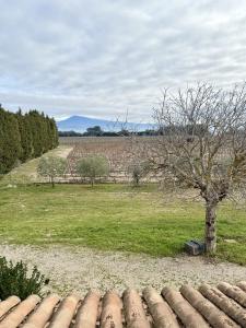 Annonce Vente 5 pi�ces Maison  84