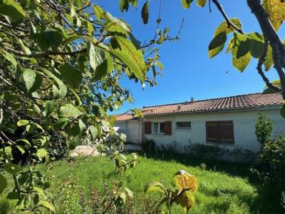 Annonce Location 3 pi�ces Maison Lesparre-medoc 33