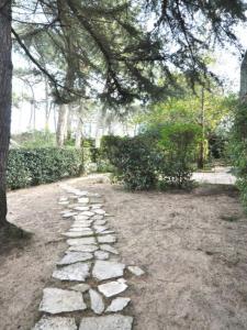 Annonce Vente 8 pi�ces Maison Pyla-sur-mer 33