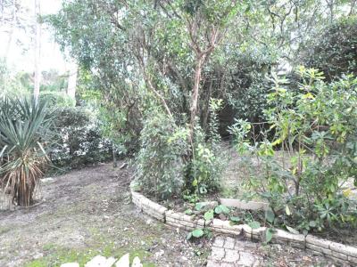 Acheter Maison Pyla-sur-mer Gironde