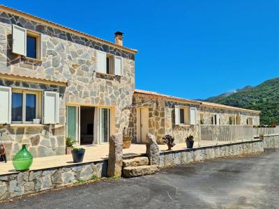 Acheter Maison 508 m2 Sollacaro