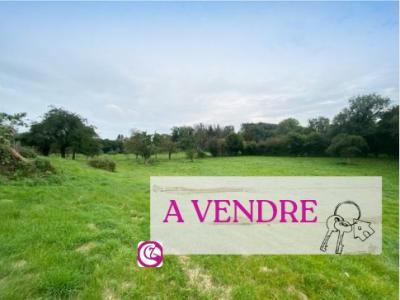 Annonce Vente 3 pi�ces Maison Oudon 44