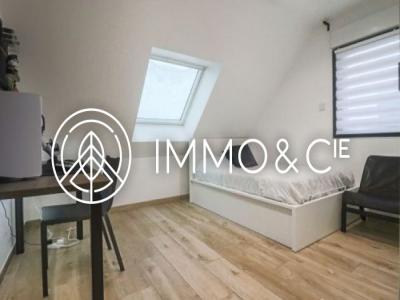 Acheter Maison Lesquin 785000 euros