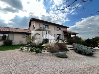 Acheter Maison 214 m2 Saint-etienne