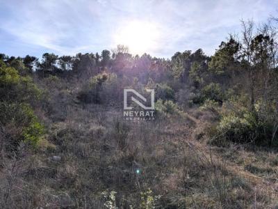 Annonce Vente Terrain Callian 83