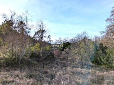 Acheter Terrain Callian