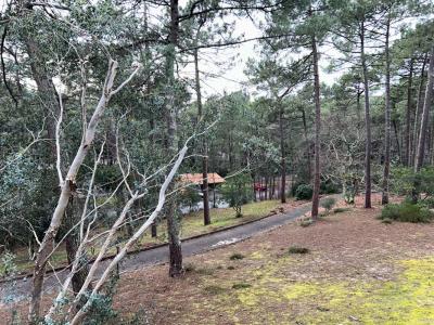 Annonce Vente 3 pi�ces Appartement Carcans 33