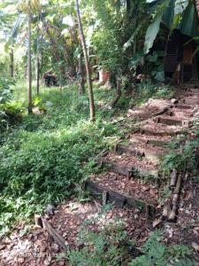 For sale Fort-de-france 840 m2 Martinique (97200) photo 0