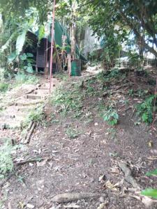 Annonce Vente Terrain Fort-de-france 972