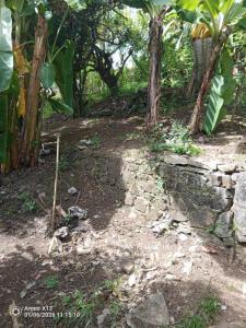 Acheter Terrain Fort-de-france 168775 euros