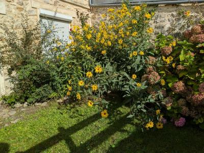 Acheter Maison 160 m2 Crepy-en-valois