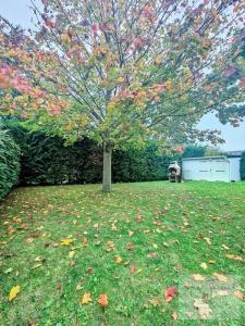 Acheter Maison 105 m2 Savigny-sur-orge