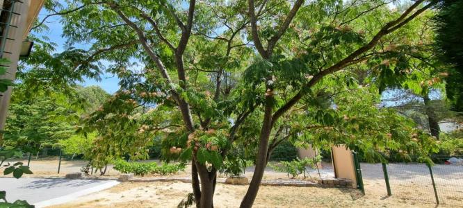 Acheter Maison Cuges-les-pins 699600 euros