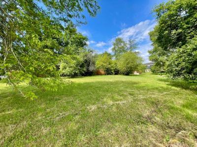 Annonce Vente Terrain Merignac 33