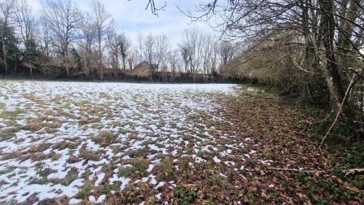Acheter Terrain Chapdes-beaufort 69000 euros
