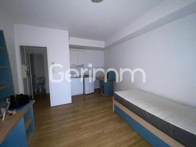 Annonce Location Appartement Grenoble 38