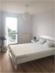 Louer Appartement Toulouse 782 euros