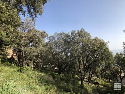 For sale Brando 1660 m2 Corse (20222) photo 3