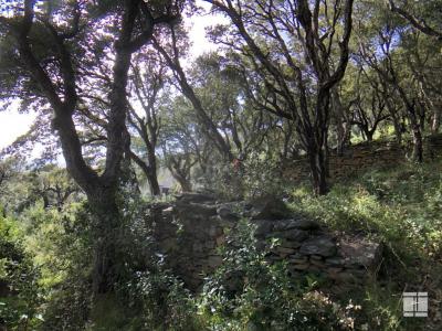 For sale Brando 1660 m2 Corse (20222) photo 4