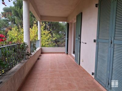 For sale Patrimonio 2 rooms 42 m2 Corse (20253) photo 0