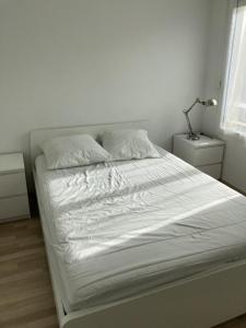 For rent Bruges 2 rooms 31 m2 Gironde (33520) photo 4