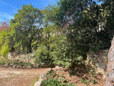 Annonce Vente Prestige Montolieu 11