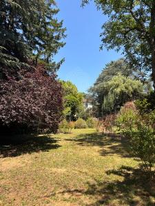 Acheter Maison 329 m2 Arzay