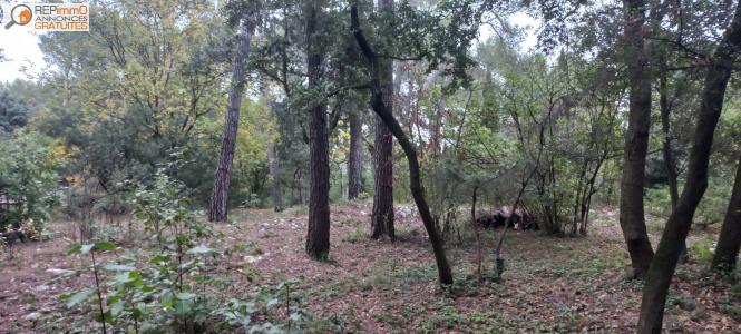 For sale Saint-clement-de-riviere Herault (34980) photo 0