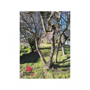 Acheter Terrain 1000 m2 Draguignan