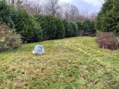 Annonce Vente Terrain Villiers-saint-denis 02