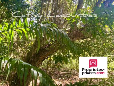 Annonce Vente Terrain Pointe-noire 971