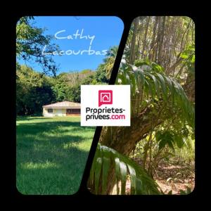 For sale Pointe-noire 10000 m2 Guadeloupe (97116) photo 0
