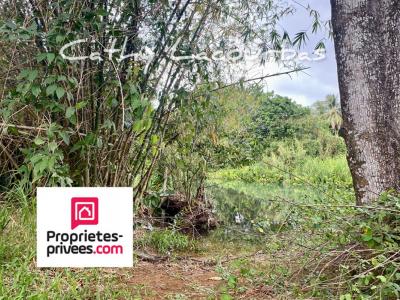 Acheter Terrain Pointe-noire 888250 euros