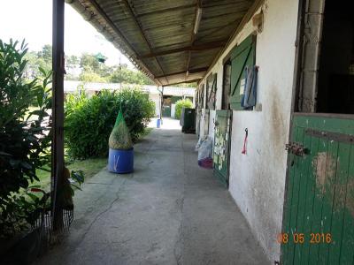 Acheter Terrain 32767 m2 Ligny-le-ribault