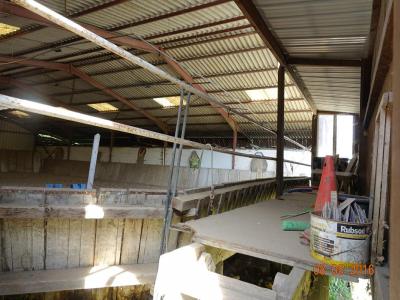 Acheter Terrain Ligny-le-ribault 1240000 euros